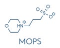 MOPS buffering agent molecule. Skeletal formula.