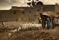 Mopti, Mali, Africa - the port of the city where it joins the Ba