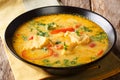 Moqueca stew fish with bell peppers in spicy coconut sauce close