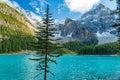 Moraine lake beautiful landscape in summer to early autumn sunny day morning. Banff National Park. Royalty Free Stock Photo