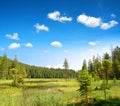 Moraine lake Grosser Arbersee in the National park Bavarian forest ( Bayerische Wald ). Germany.