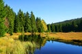 Moraine lake Kleiner Arbersee in National park Bavarian forest.