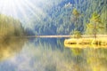 Moraine lake Kleiner Arbersee in National park Bavarian forest.