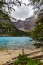 Moraine Lake and Larch Trees