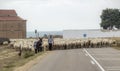 Morales de Toro / Zamora, Spain - 28 Sep. 2014: A sheep farmer on the way home with all his sheep, he uses a dog and a donkey to Royalty Free Stock Photo