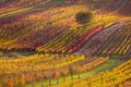 Moravian autumn vineyards