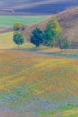 Moravian Fields Royalty Free Stock Photo