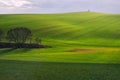 Moravian fields during early spring