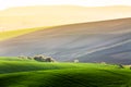 Moravian fields landscape with trees in morning fog. South Moravia, Czech Republic Royalty Free Stock Photo