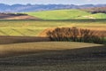 Moravian fields and meadows during early spring