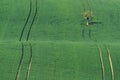 Moravian Tuscany is called a corrugated landscape near Kyjov, Mo Royalty Free Stock Photo