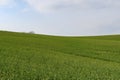 Moravian Green Rolling Landscape. Spring landscape. Moravian Tuscany, south Moravia, Czech Republic, Europe. Royalty Free Stock Photo