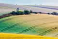 Moravian rolling landscape with hunting tower