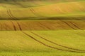 Moravian spring rolling Landscape Royalty Free Stock Photo