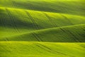 Moravian Tuscany. Beautiful spring landscape in south Moravia near Kyjov town. Czech Republic - Europe. Royalty Free Stock Photo