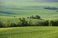 Moravian Tuscany beautiful spring landscape in south Moravia near Kyjov town. Czech Republic - Europe. Royalty Free Stock Photo