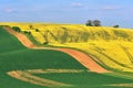 Moravian Tuscany, beautiful spring landscape in south Moravia near Kyjov town. Czech Republic - Europe. Royalty Free Stock Photo