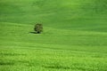 Moravian Tuscany. Beautiful spring landscape in south Moravia near Kyjov town. Czech Republic - Europe. Royalty Free Stock Photo