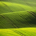 Moravian Tuscany. Beautiful spring landscape in south Moravia near Kyjov town. Czech Republic - Europe. Royalty Free Stock Photo