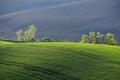 Moravian Tuscany beautiful spring landscape in south Moravia near Kyjov town. Czech Republic - Europe. Royalty Free Stock Photo