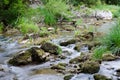 Moravica river chute
