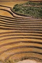 Moray, Cusco, Peru