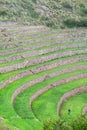 Moray Ruin in Cusco, Peru