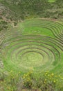 Moray Ruin in Cusco, Peru