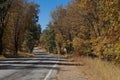 More Fall Color on the Sunrise Highway Royalty Free Stock Photo