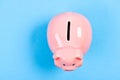 More ideas for your money. Financial education. Piggy bank symbol of money savings. Piggy bank adorable pink pig close