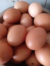 More Nutrient - rich Country Eggs... Royalty Free Stock Photo