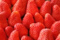 More strawberries