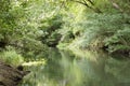 Waterway in Guanacaste Costa Rica Royalty Free Stock Photo