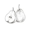 Hand drawn fresh whole pear and cut in half with seeds. Illustration isolated on white background. Royalty Free Stock Photo