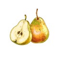 Hand drawn fresh whole pear and cut in half with seeds. Illustration isolated on white background. Royalty Free Stock Photo