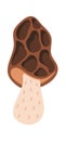 Morel conditionally edible mushroom design Royalty Free Stock Photo