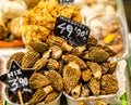 Morel morchella mushrooms at Barcelona market