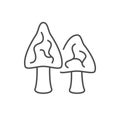 Morel mushroom line outline icon