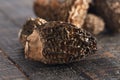 Morel Mushrooms on a Wooden Table Royalty Free Stock Photo