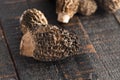 Morel Mushrooms on a Wooden Table Royalty Free Stock Photo