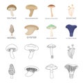 Morel, oyster, green amanita, actarius indigo.Mushroom set collection icons in cartoon,outline style vector symbol stock