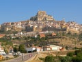 Morella