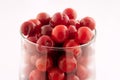 Morello cherry glass Royalty Free Stock Photo