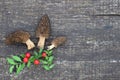 Morels on table Royalty Free Stock Photo