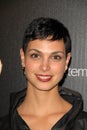 Morena Baccarin Royalty Free Stock Photo