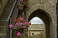 Moresco, medieval village in Fermo province, Marche, Italy