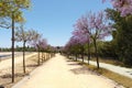 The Moret Park of Huelva