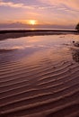 Moreton Bay sunrise Royalty Free Stock Photo