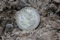 1879 Morgan Silver Dollar On Ground in Dirt Front View Royalty Free Stock Photo