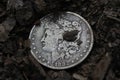 1882 Morgan Silver Dollar outside on dirt Close up Royalty Free Stock Photo